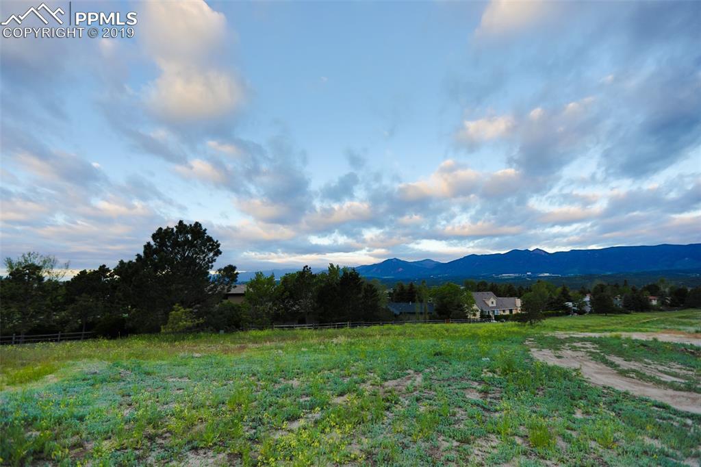 14331 Spyglass Hill Place - Photo 1