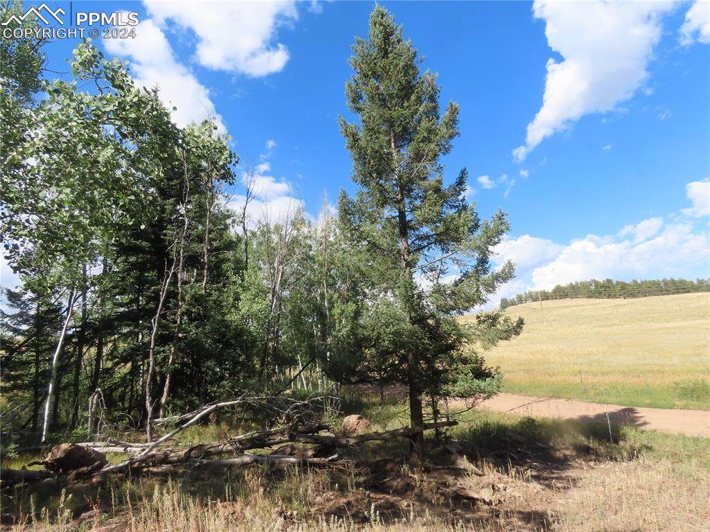 471 Horseshoe Trail - Photo 1
