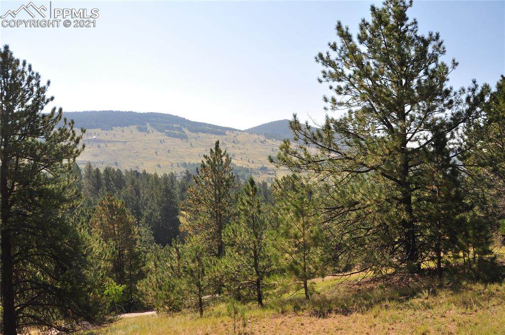 56 Red Cloud Circle - Photo 1