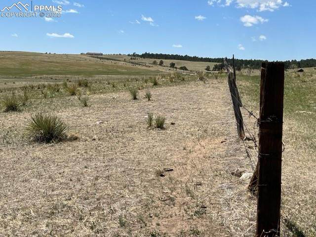 13413 County Road 118 Road - Photo 1