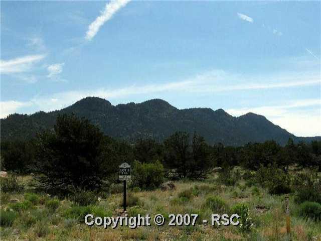 29995 Teal Road - Photo 1