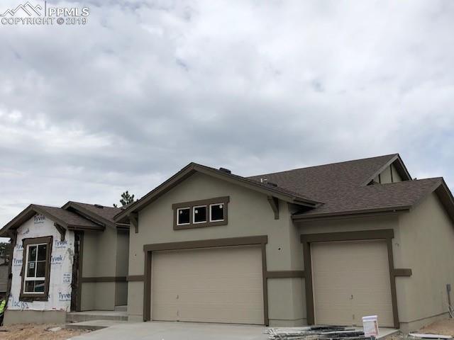 16285 Thunder Cat Way - Photo 1