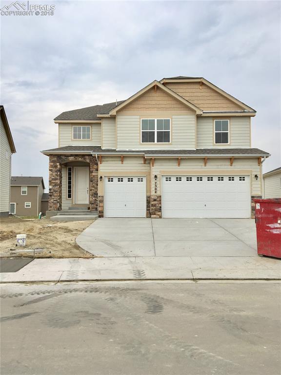 7504 Alpine Daisy Drive - Photo 1