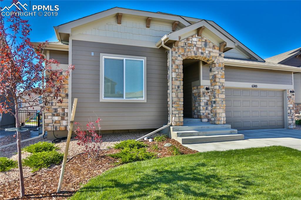 6749 Black Saddle Drive - Photo 1
