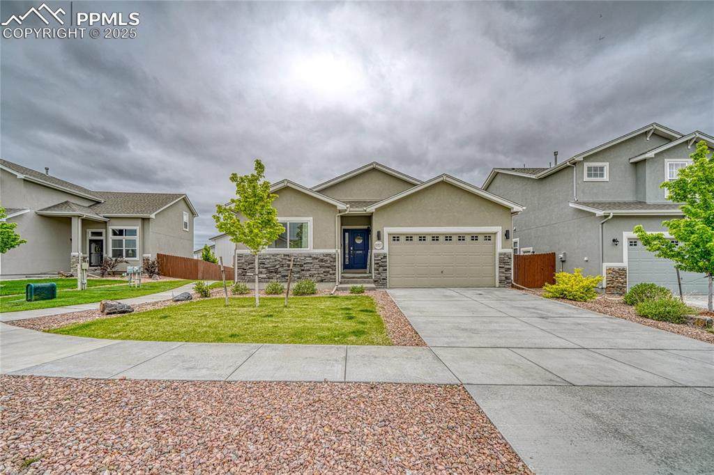8157 Burl Wood Drive - Photo 1