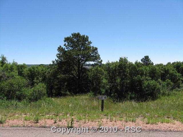 4035 Deer Valley Court - Photo 1