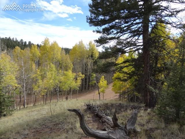 2911 Mountain Estates Road - Photo 1
