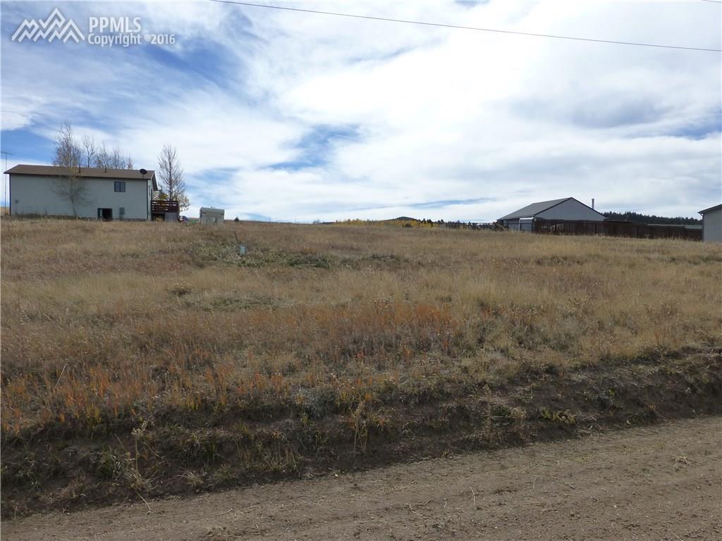1486 Will Scarlet Drive - Photo 1