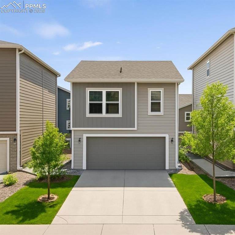 4175 Samaritan Loop - Photo 1