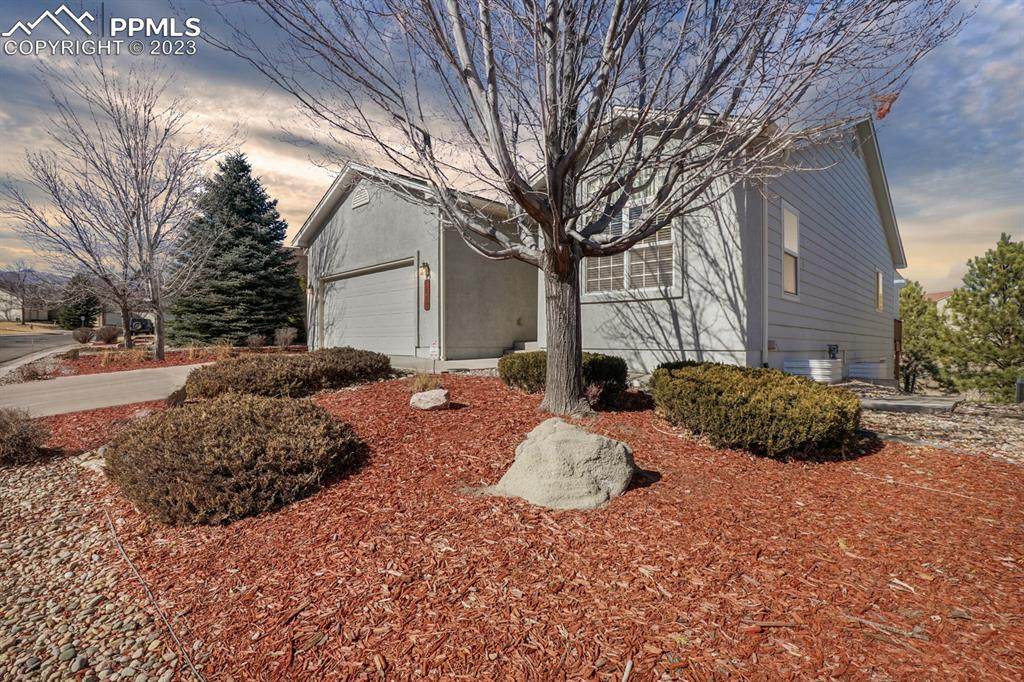 6440 Perfect View - Photo 1