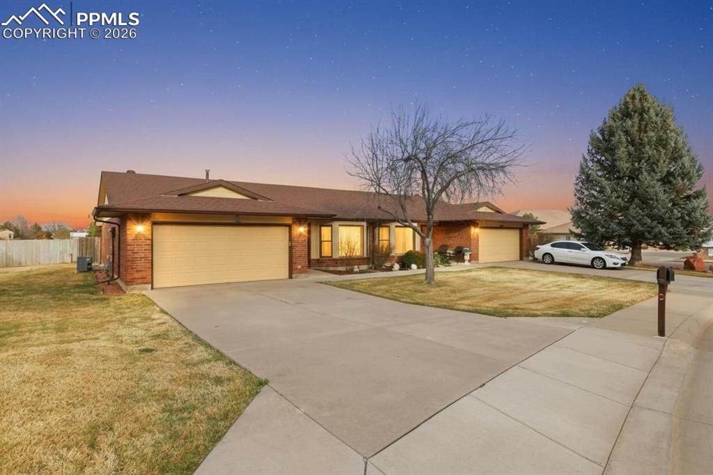 31 Frances Place - Photo 1