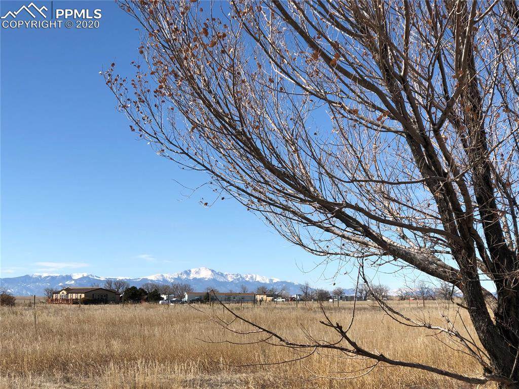20080 Oasis Avenue - Photo 1