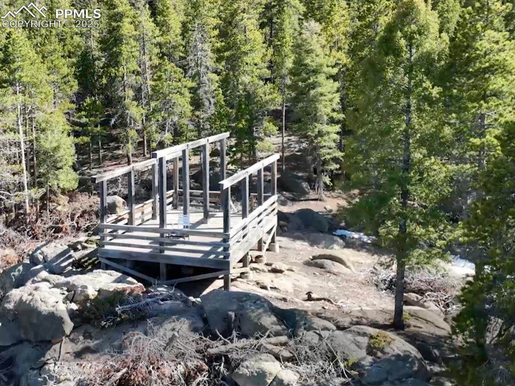 12329 Powhatan Trail - Photo 1