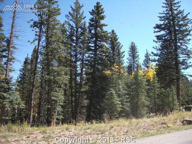 403 Silvermoon Heights - Photo 1