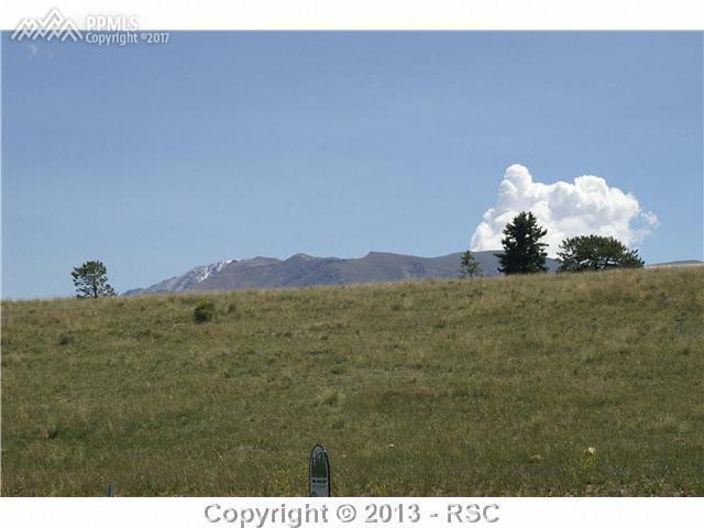 103 Samantha Way Way - Photo 1