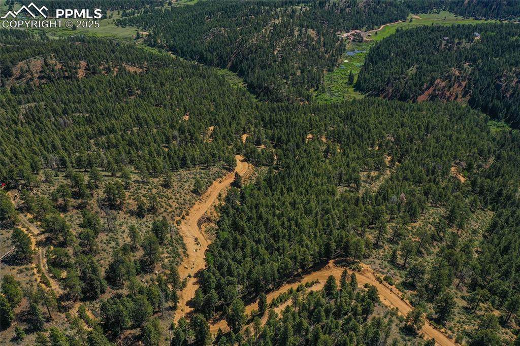 29545 Highway 67 - Photo 1