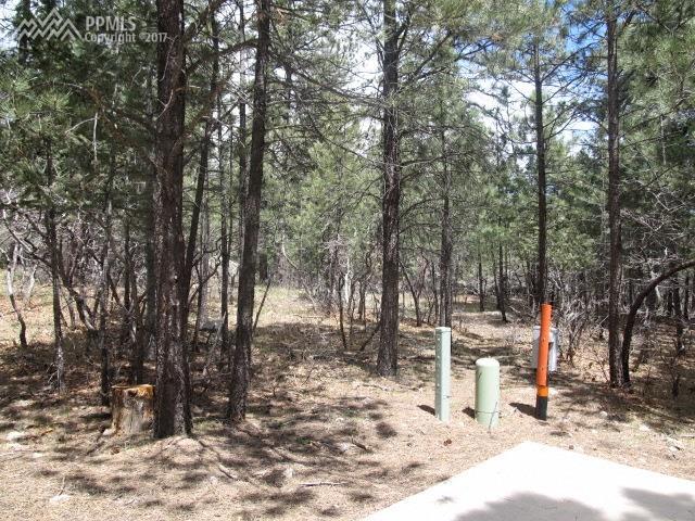 5777 Wellfleet Street - Photo 1