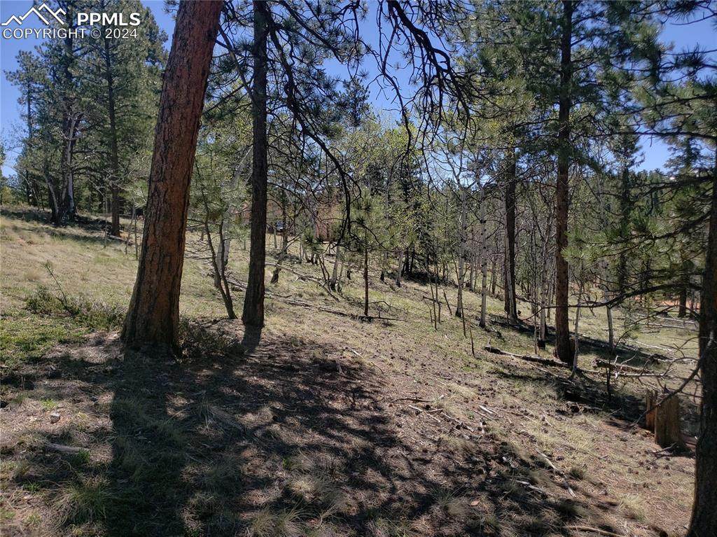 69 Lake Circle - Photo 1