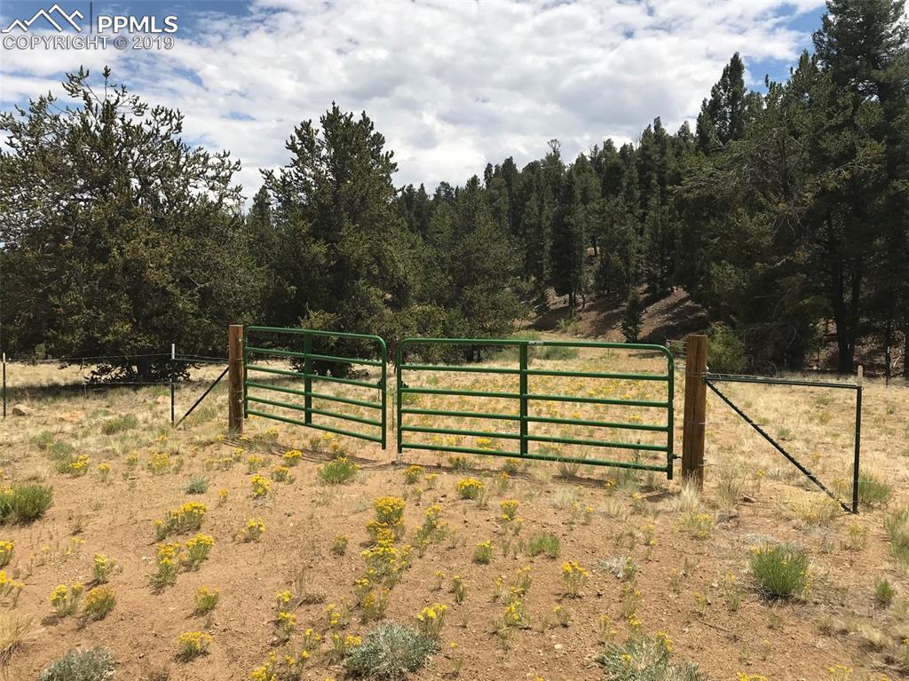 1353 Summit Road - Photo 1