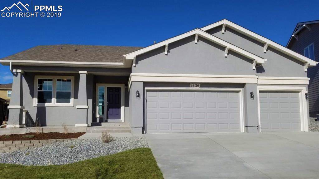 5636 Cubbage Drive - Photo 1