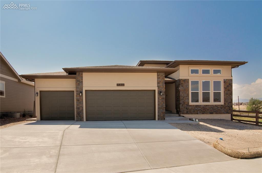 6839 Black Saddle Drive - Photo 1