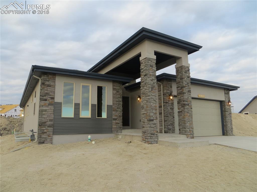 10021 Thrive Lane - Photo 1