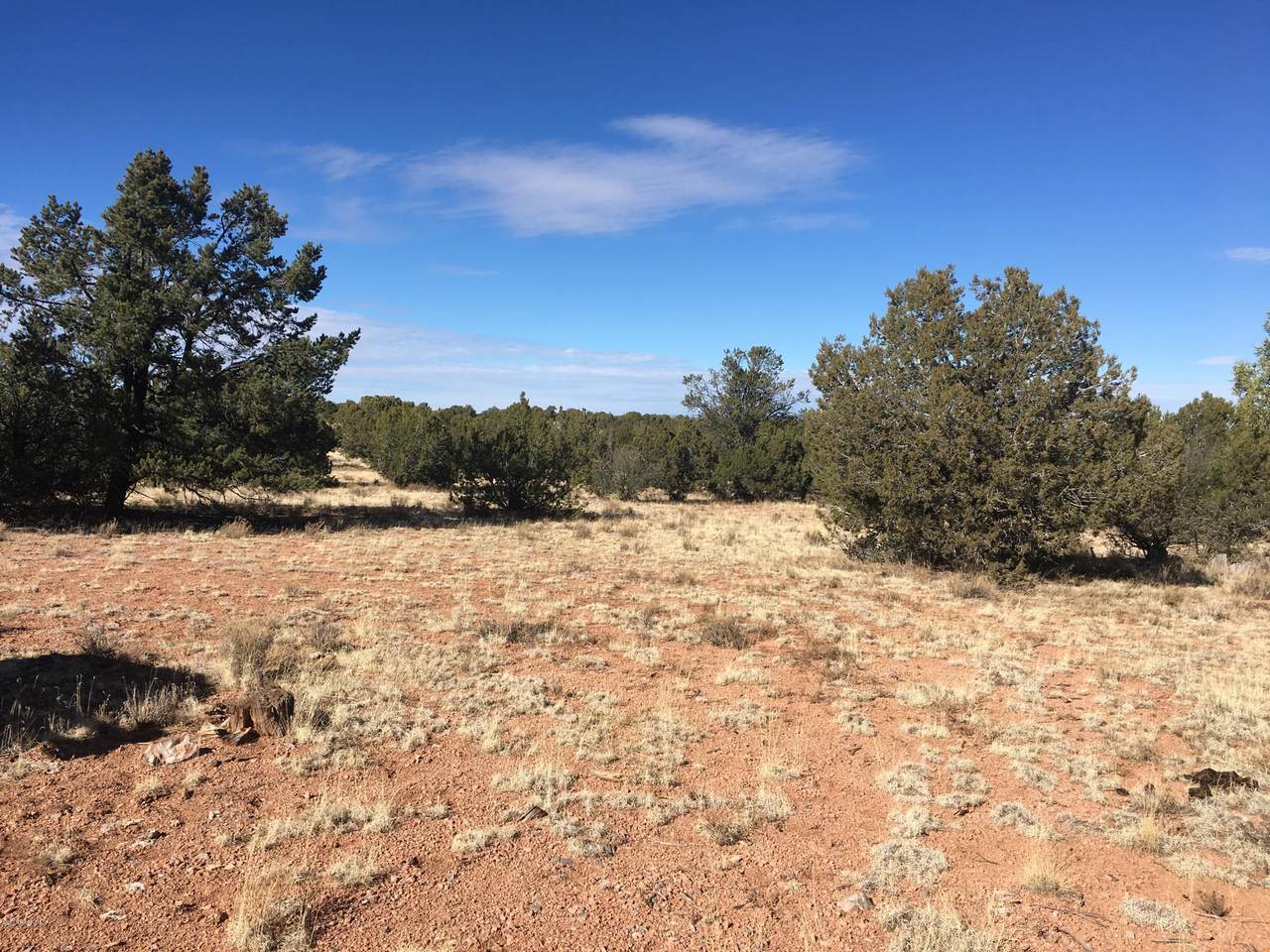 Lot 301 Peaceful Hill Road - Photo 1
