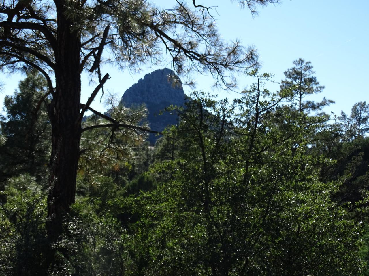 1293 Sierry Peaks Drive - Photo 1