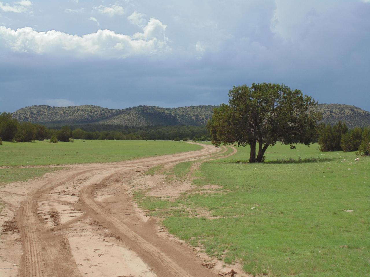 1501 Sierra Verde Ranch - Photo 1