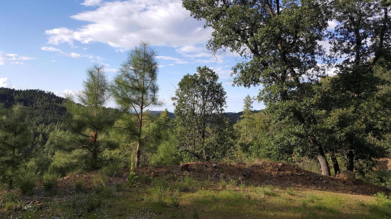 5465 Gold Pan Way - Photo 1