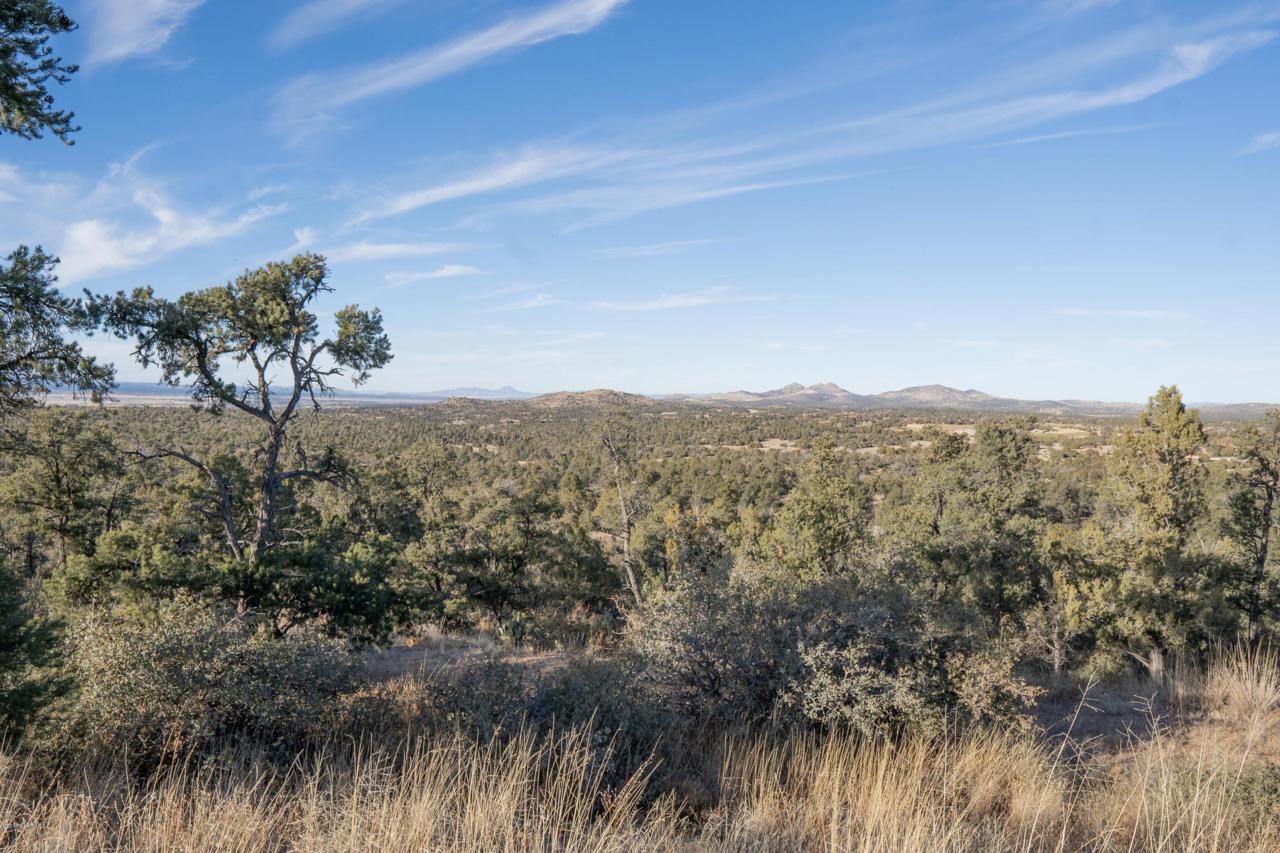 14071 Signal Hill Road - Photo 1