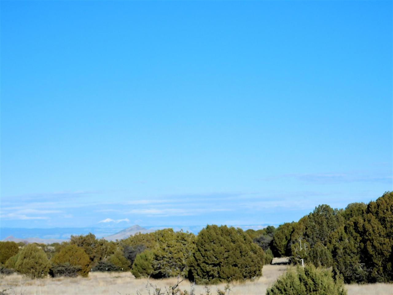 10 Acres Cowboy Springs Trail - Photo 1