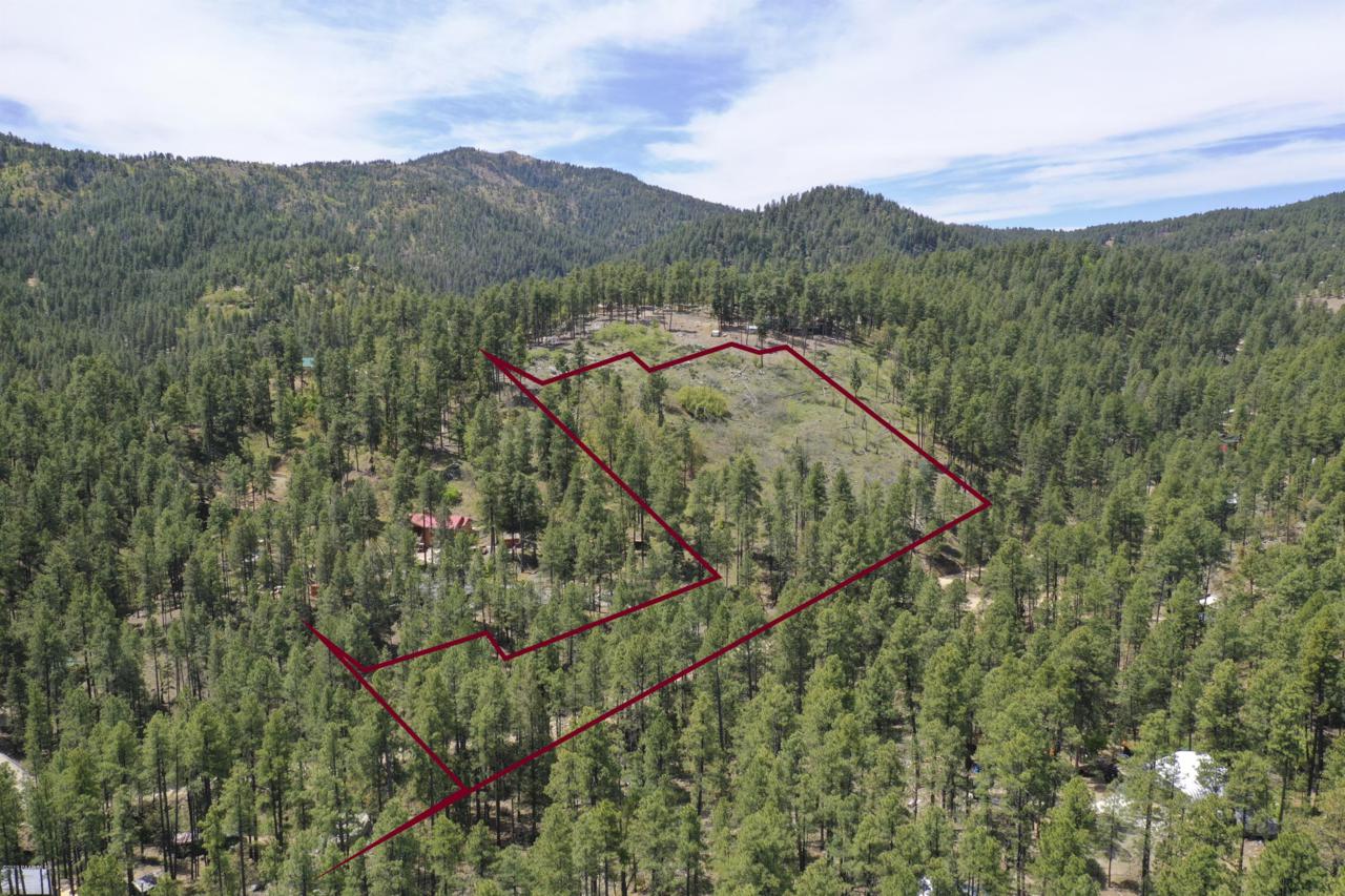 4189 Sheldon Road - Photo 1