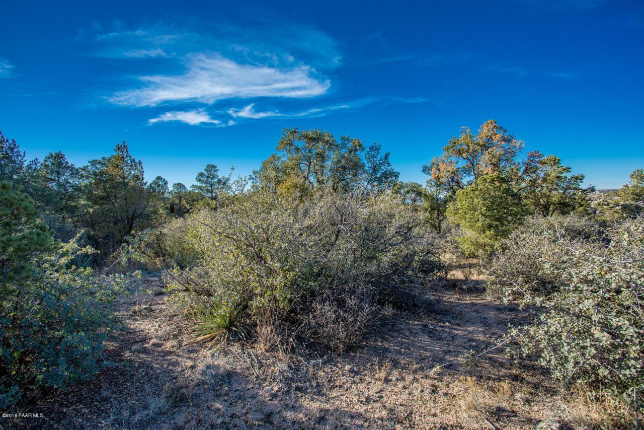 9910 Clear Fork Road - Photo 1