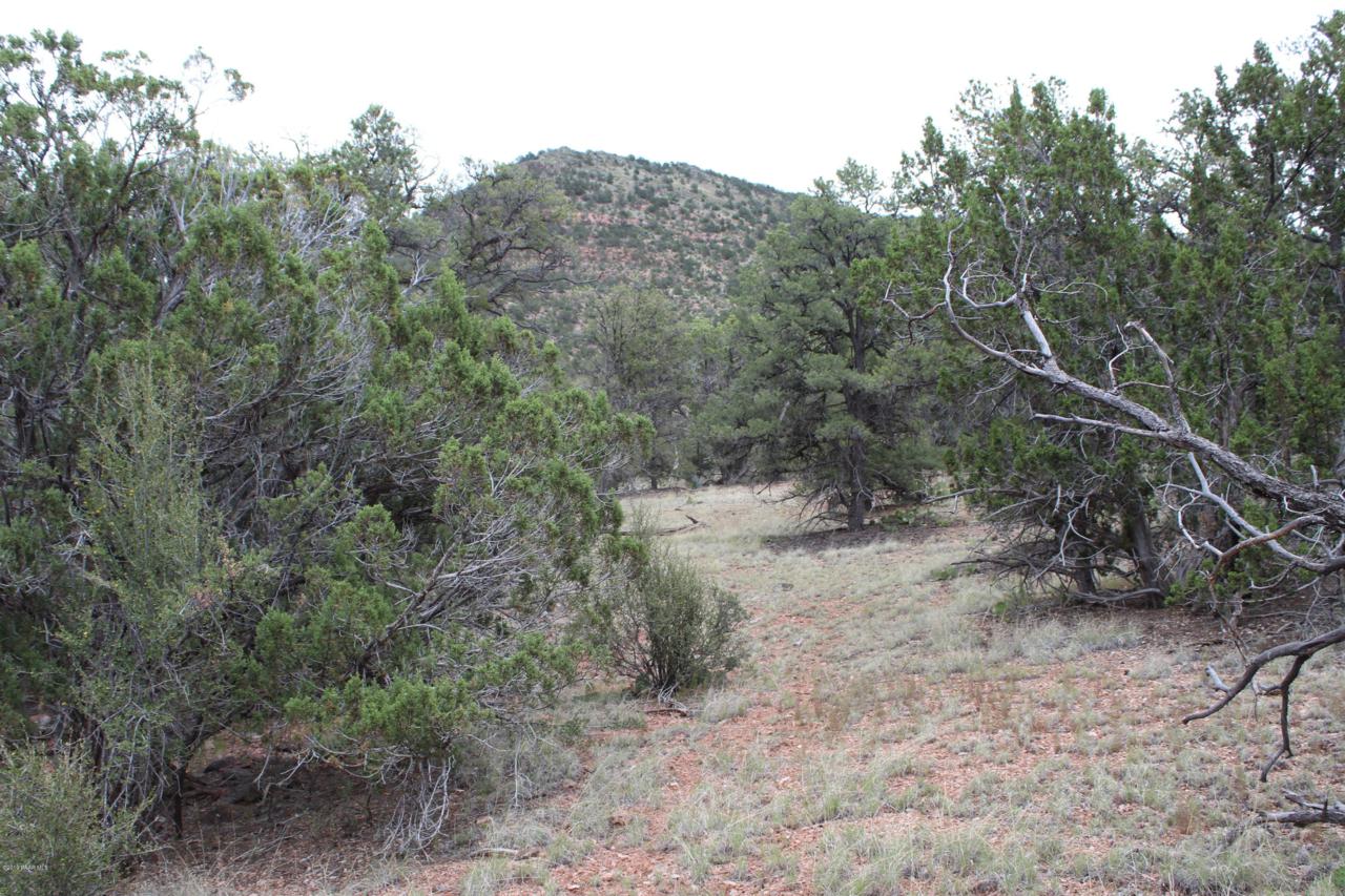Lot 1083 Sierra Verde Ranch - Photo 1