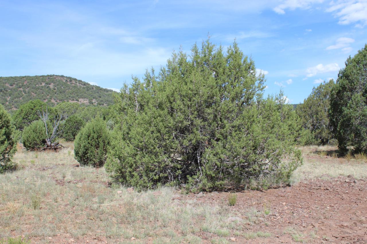 Lot 274 Olivas Alone - Photo 1
