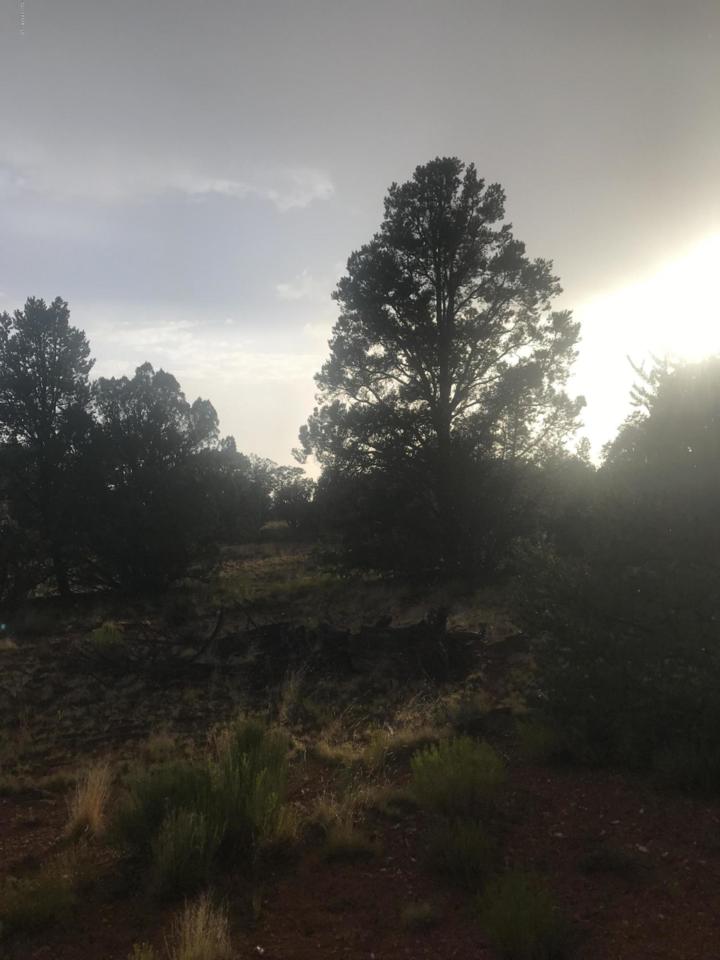 301-24-276 Ranchos Subdivision - Photo 1