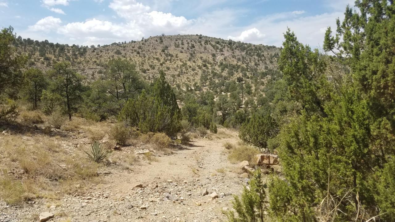 4610 Hidden Canyon Road - Photo 1