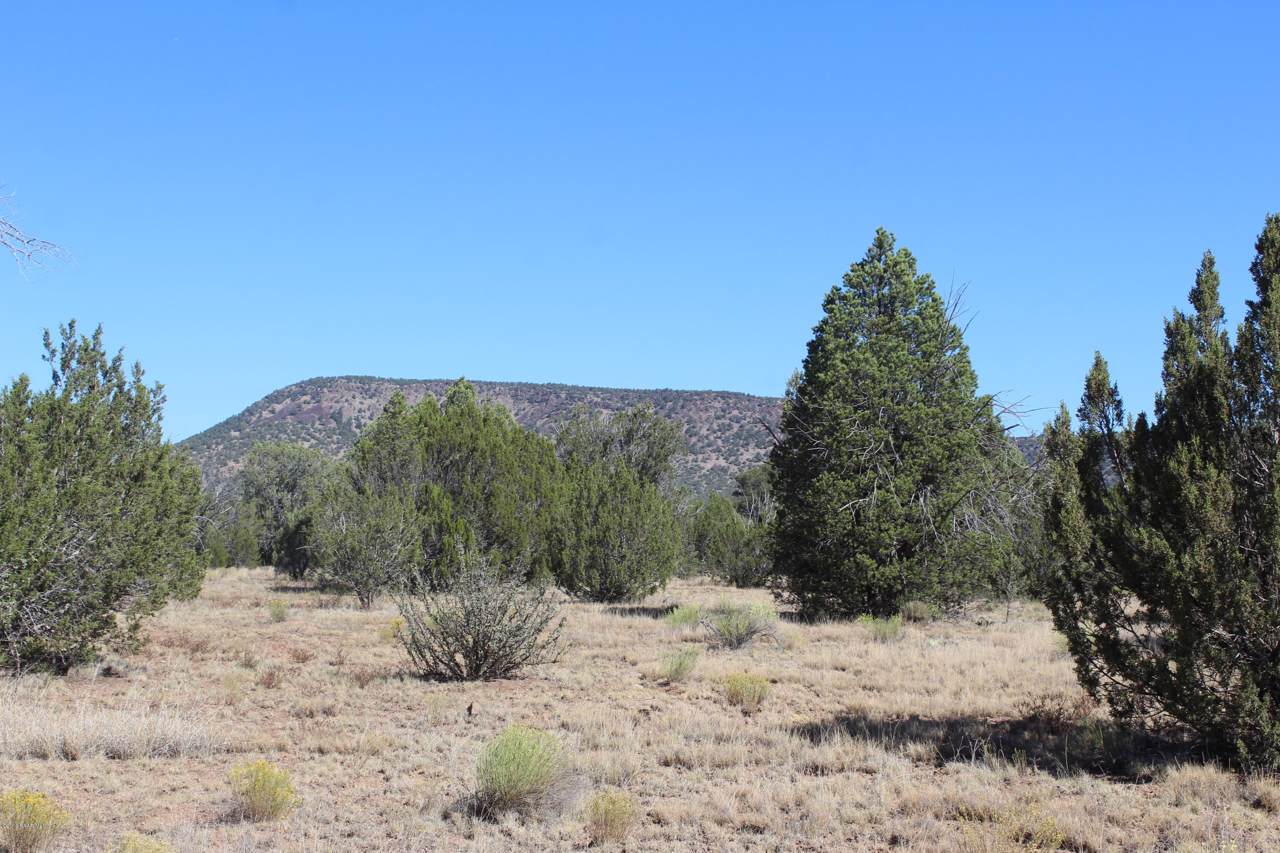 Lot 185 Fort Rock Road - Photo 1