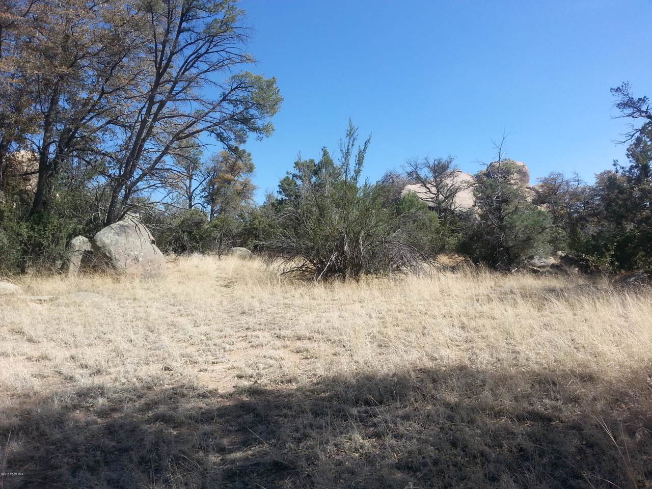 912 Downer Trail - Photo 1