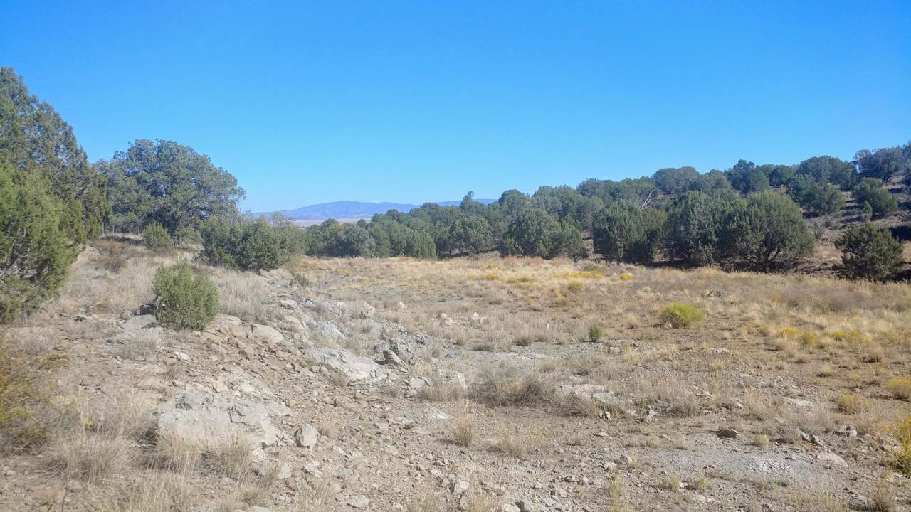 3330 Brenda Trail - Photo 1