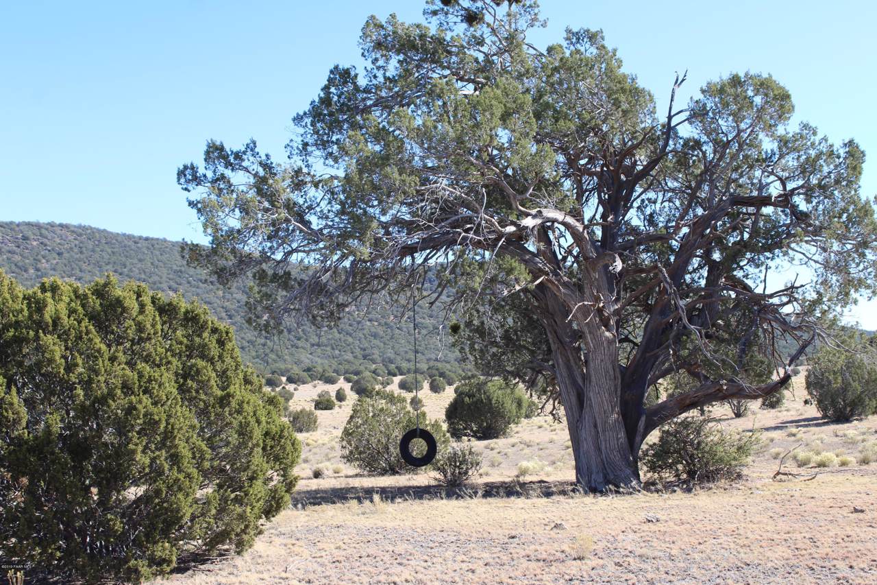 Tbd Anvil Rock Road - Photo 1