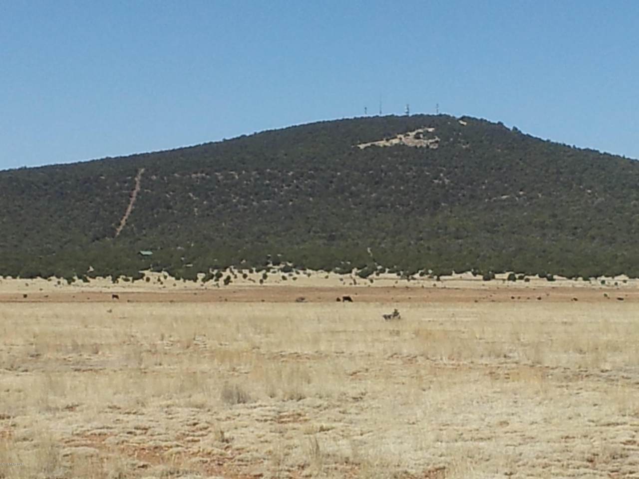 Lot 714 Caruso Way - Photo 1