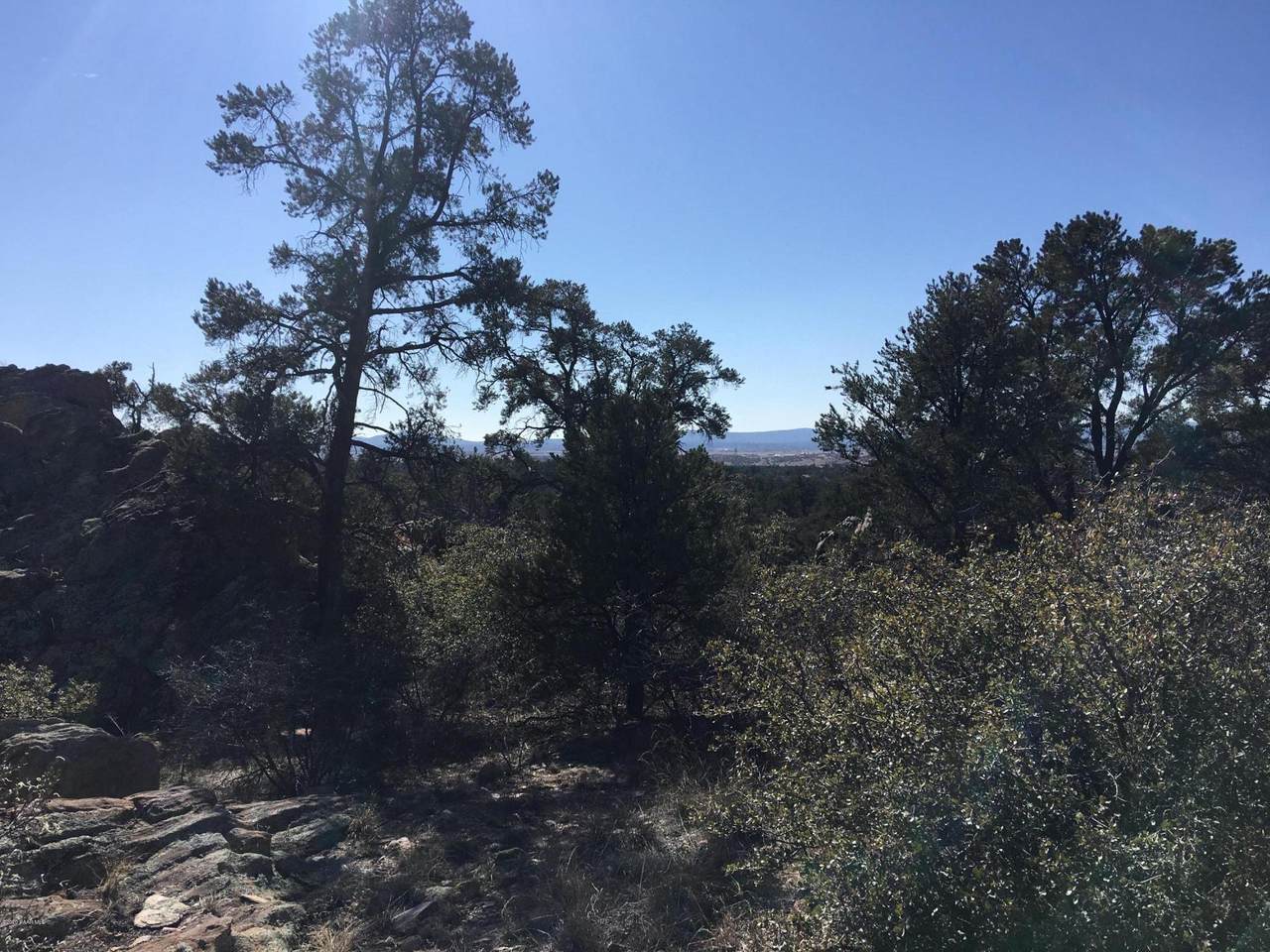 16300 Petroglyph Road - Photo 1