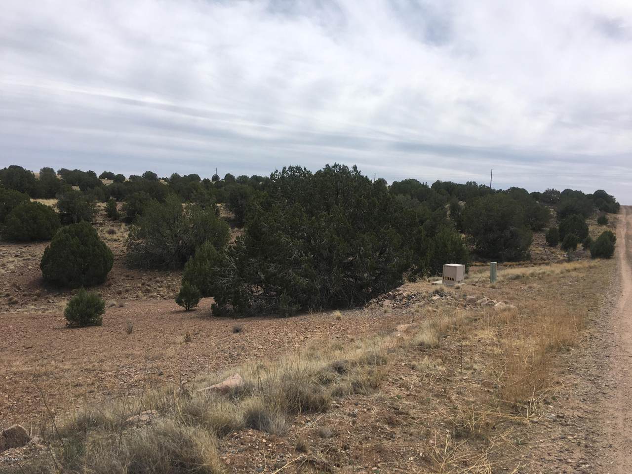 0 Gray Gos Road - Photo 1