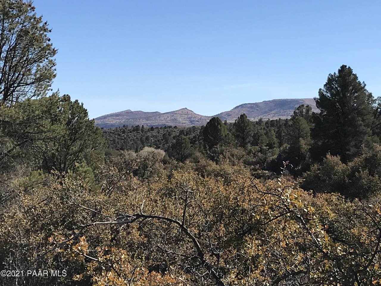 18204 Buckhorn Drive - Photo 1