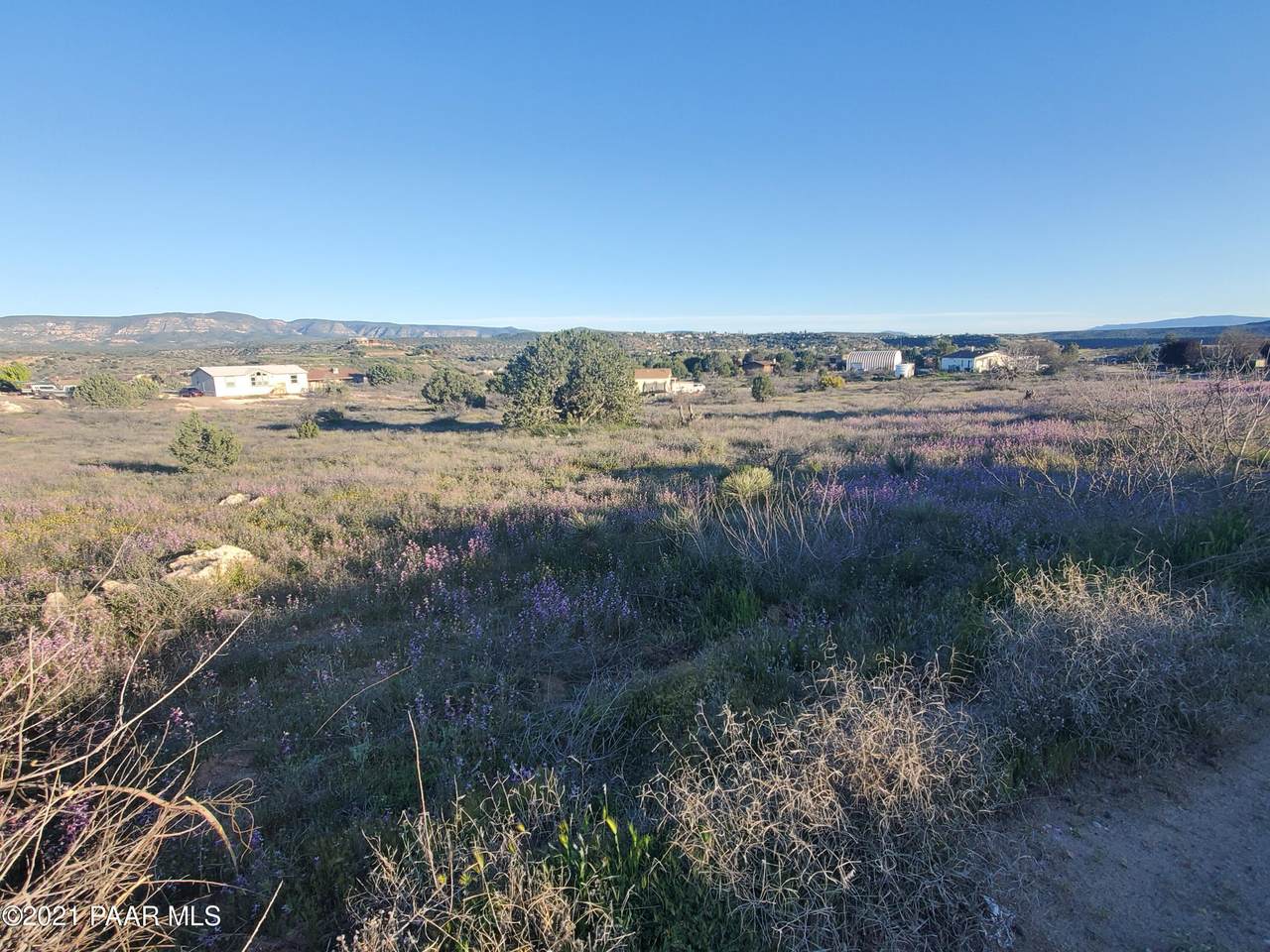 5695 Brittney Lane - Photo 1