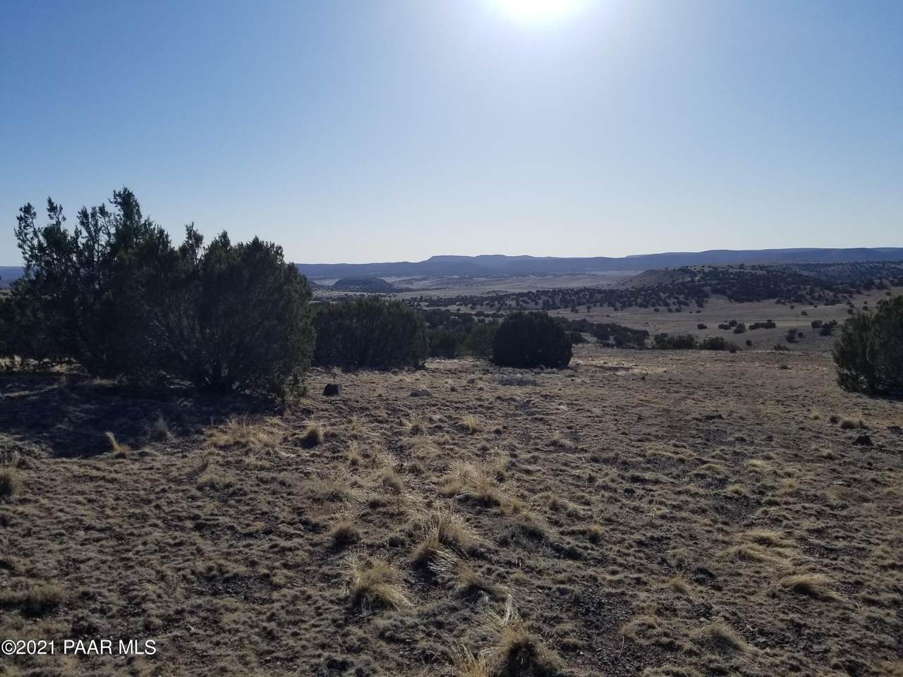 437 Sierra Verde Ranch - Photo 1