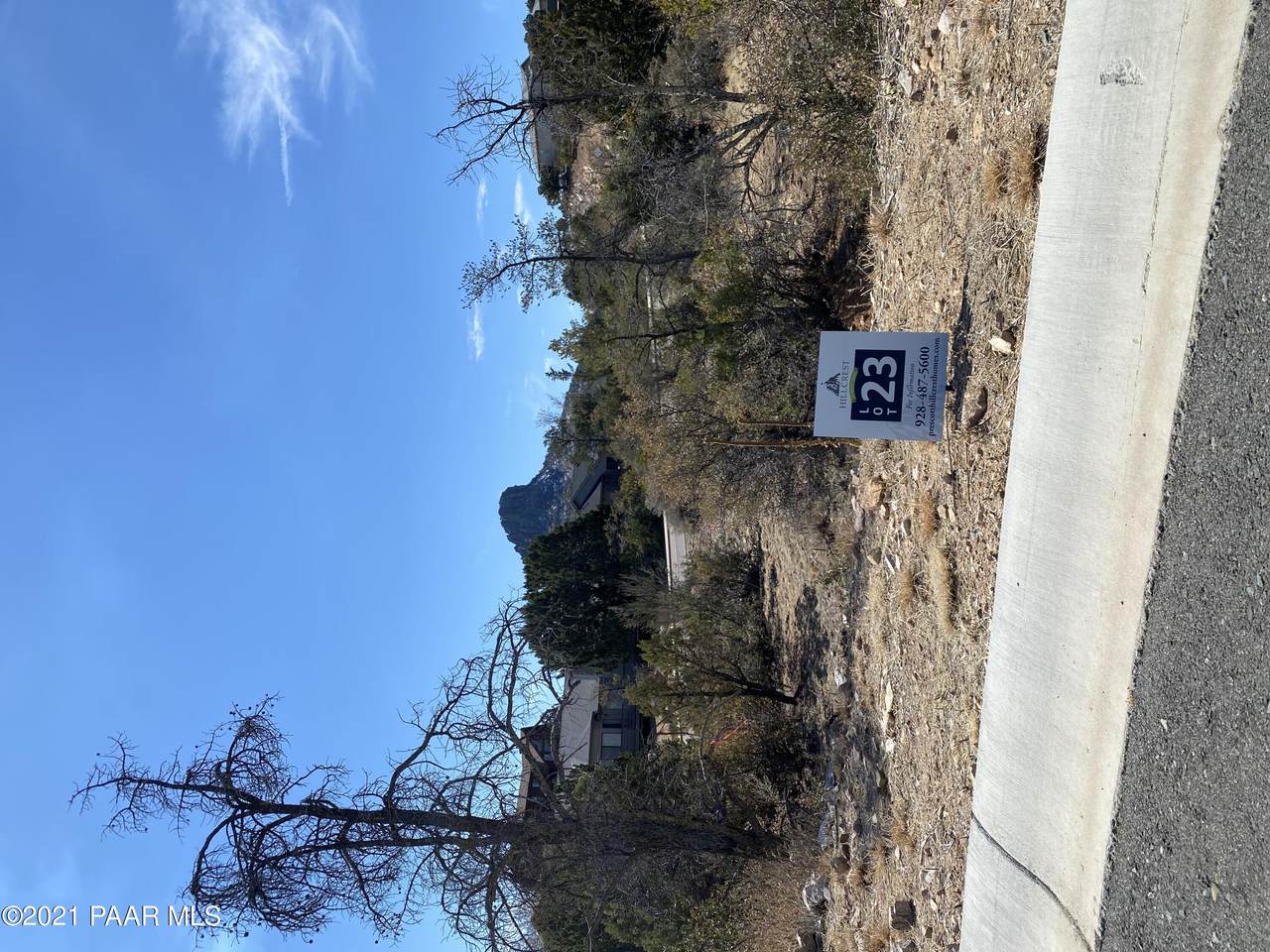 1322 Crowning Point - Photo 1