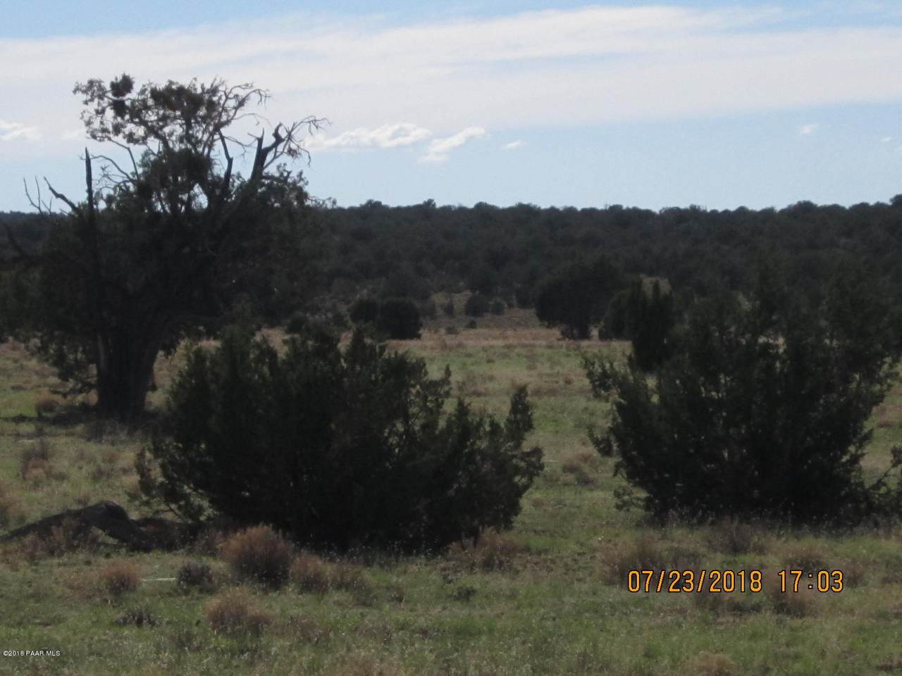 Parcel 689 - Photo 1